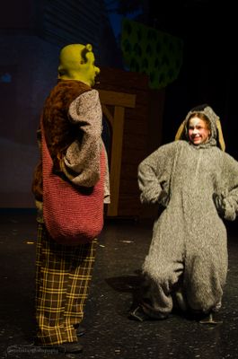 FLMS-Shrek25-379.JPG