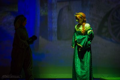 FLMS-Shrek25-384.JPG