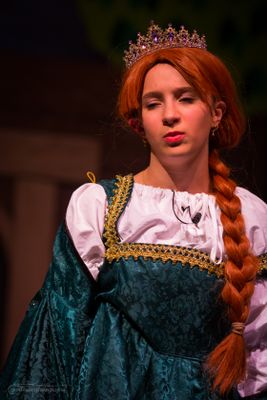 FLMS-Shrek25-395.JPG
