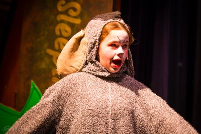 FLMS-Shrek25-430.JPG