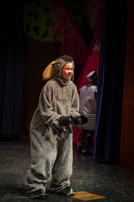 FLMS-Shrek25-513.JPG