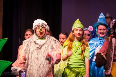FLMS-Shrek25-625.JPG