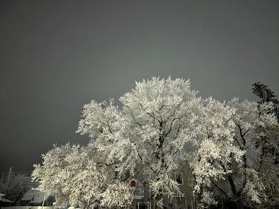 IMG_0343.jpg