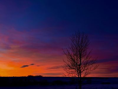IMG_0381.jpg