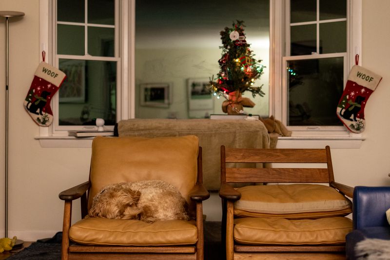 December 18 R7 note a creature was stirring 303a4632 edit  AI-4632.jpg