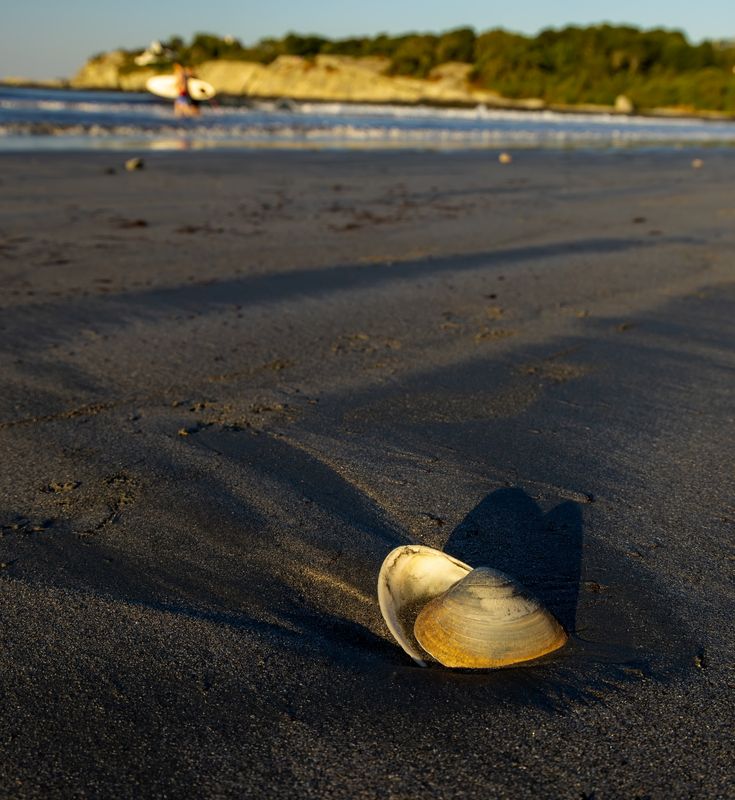 August 19 life is the beach  _A6A1827 editx1-.jpg