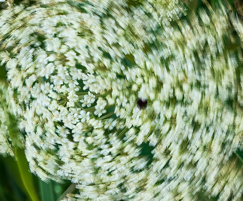 July 16 2023 crop t storm days 3335 topaz ai-.jpg