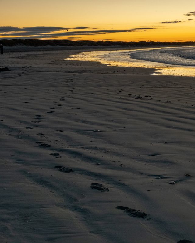 November 2 Beach sunrise 4  L2556.jpg