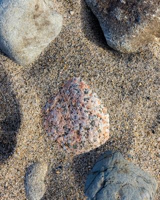 feb 12 2023 beach scape r7 303a4968-.jpg