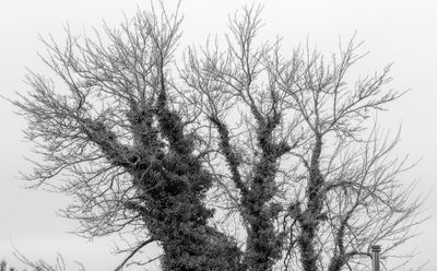 March 2 2023 winter A6a3596 -.jpg