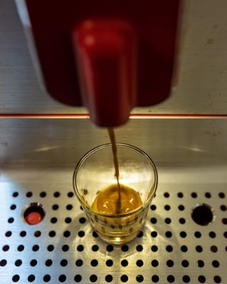 March 9 2023 liquid gold A6A3666 edit lr-3666.jpg