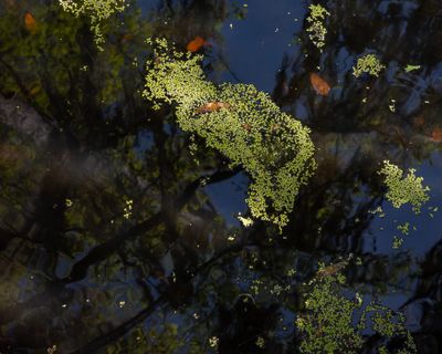 Reflection after 5 hour flight .jpeg
