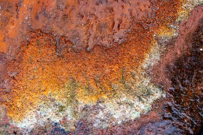 Island of Arran colors on stones-00291.jpg