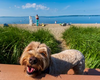 August 12 bean beach walk 4538 Topaz AI -.jpg