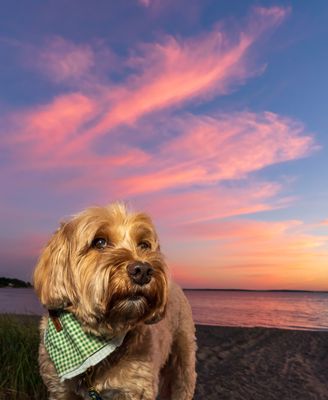 September 14 vs 2 bean beach sunset 3 5947 topazai-.jpg