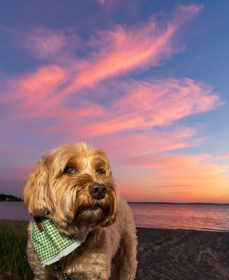 September 14 vs 2 bean beach sunset 3  5947 topazai-.jpg