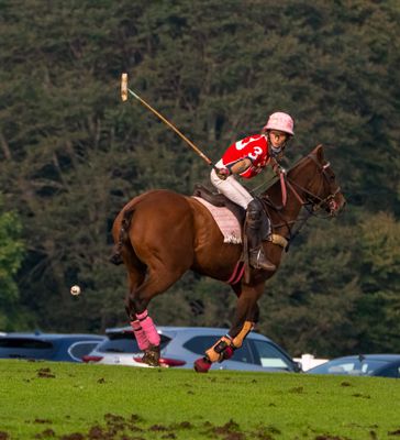 October 1 last polo game M keating  6422 topazai-.jpg