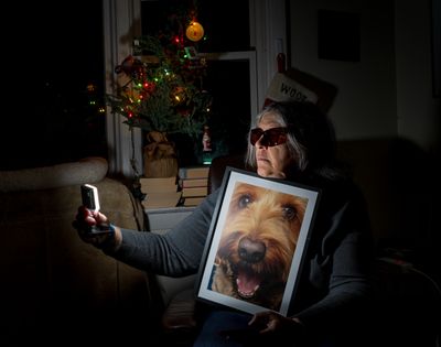 December 2 2023 dog photography or not a7c1642 copy topaz ai.jpg