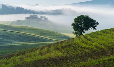 Beautiful Tuscany 