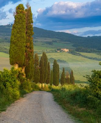 Thursday looking down the road A7C6246 Topaz ai.jpg