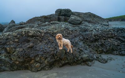 June 22 embark upup pano RC PS Topaz ai A7C8434.jpg