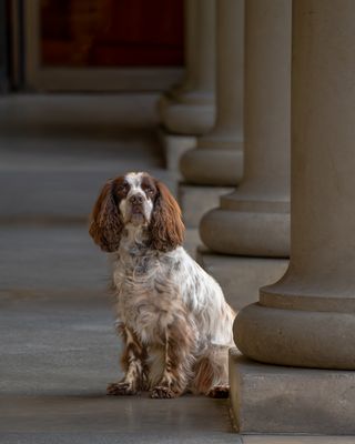 August 26 Prince Royal Opera House 17c5473 final embar city slicker.jpg