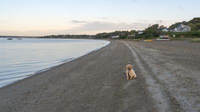 October 9 beach walk on BTB a7c5886.jpg
