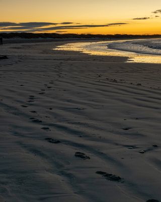 g13/72/523572/3/175009013.620b174f.JPEG