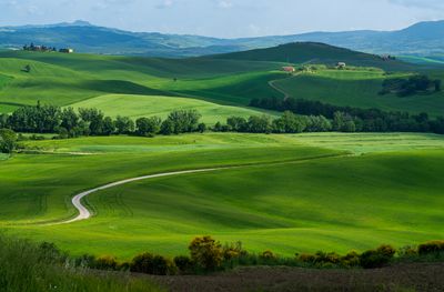 Wenesday View from Gladiator House A7C6135  Topaz ai-2.jpg