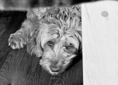 g13/72/523572/3/175178920.d352840b.JPEG