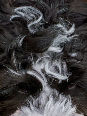 Picture of Day - Year 21