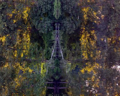 Picture of Day - Year 21 