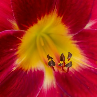 Picture of Day - Year 21