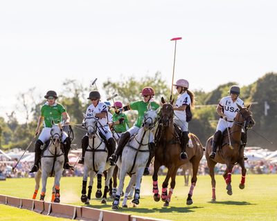July 20 2025  day 168  Polo contact sport  A7C5669.jpg