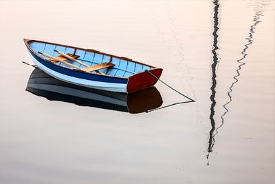 Picture of Day - Year 21 