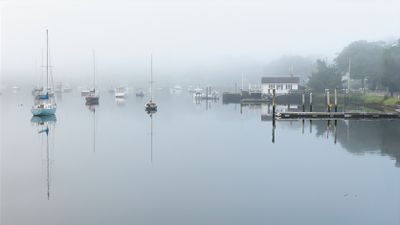 Picture of Day - Year 21 
