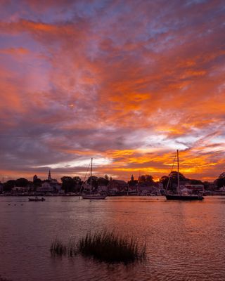Picture of Day - Year 21