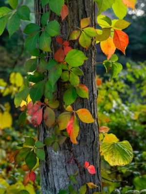 Picture of Day - Year 21 