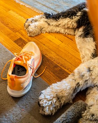 Picture of Day - Year 21 