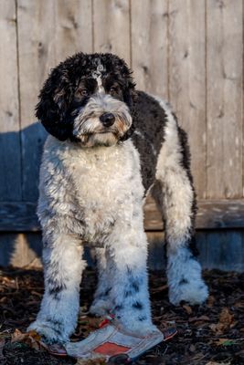 Picture of Day - Year 21