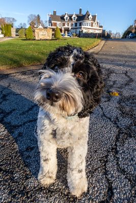 Picture of Day - Year 21 