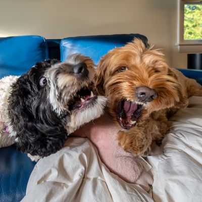 Picture of Day - Year 21