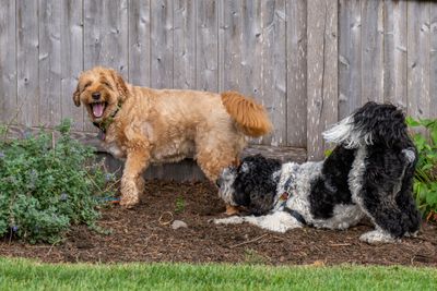 Picture of Day - Year 21