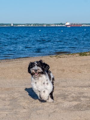 Picture of Day - Year 21 