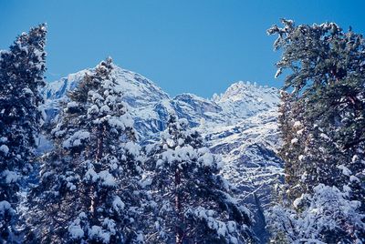 Winter Snowfall