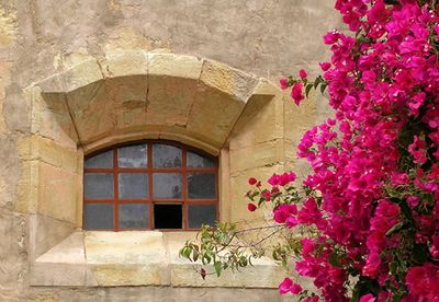 Mission Window