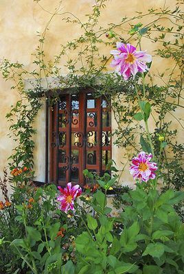Garden Window