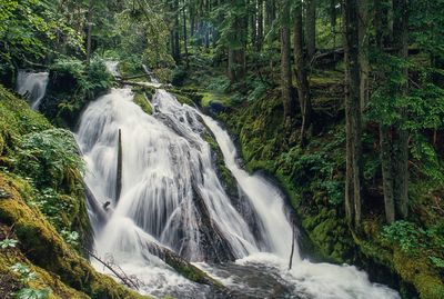 Cascading Falls