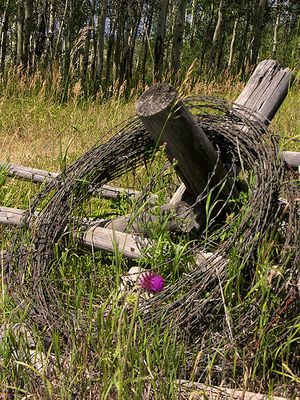 Wire Wreath
