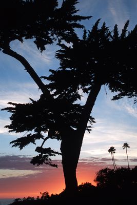 Laguna Sunset